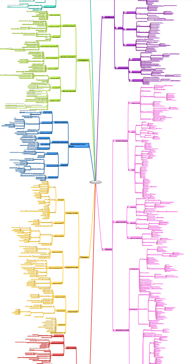 MindMap de la Taxonomie des arguments fallacieux
